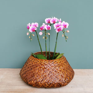 Rattan basket "Rooster" (L)